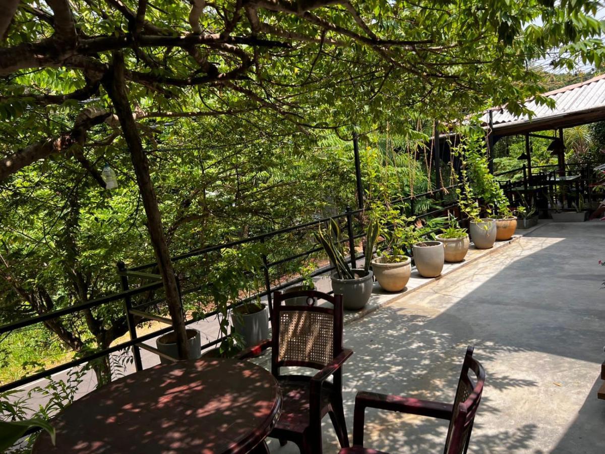The Traveller'S Hostel & Private Rooms Сигирия Экстерьер фото