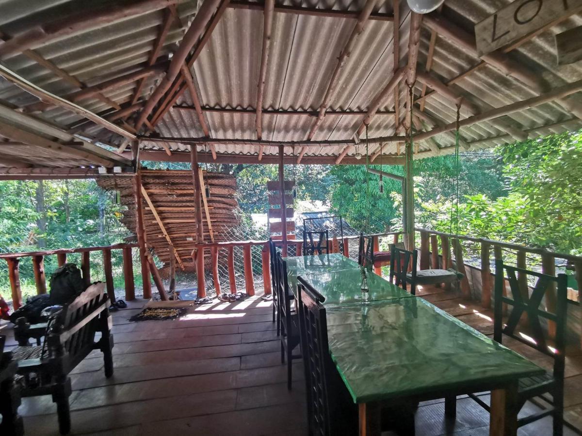 The Traveller'S Hostel & Private Rooms Сигирия Экстерьер фото